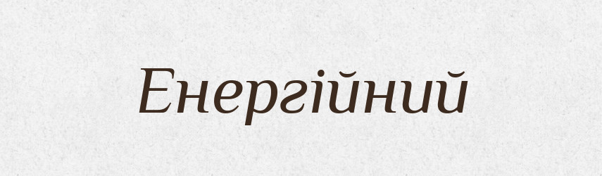 Енергійний — Словник чужомовних слів і термінів