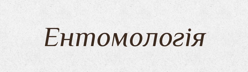 Ентомологія — Словник чужомовних слів і термінів