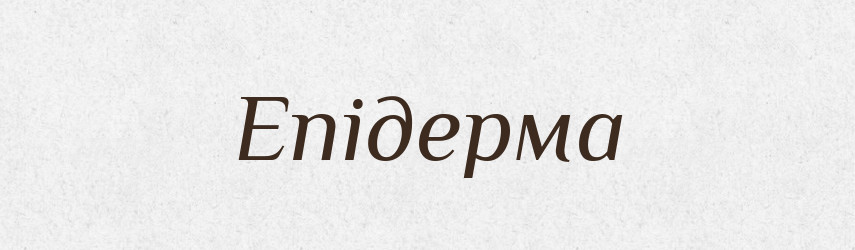 Епідерма — Словник чужомовних слів і термінів