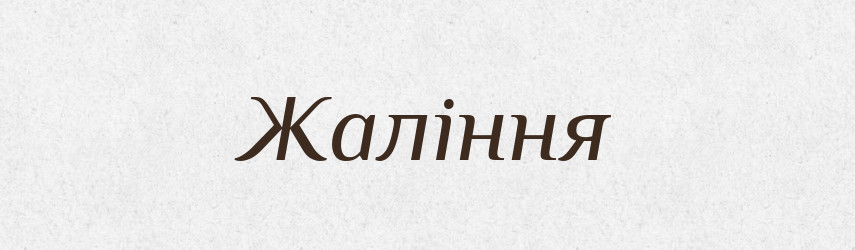 Жаління — Словник чужомовних слів і термінів