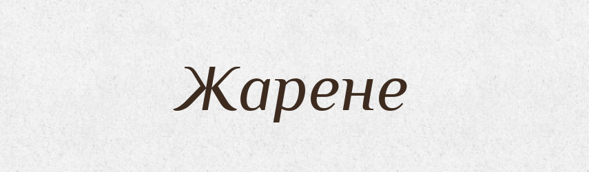Жарене — Словник чужомовних слів і термінів