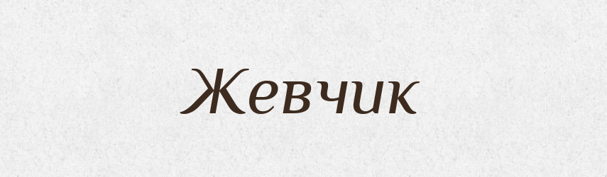 Жевчик — Словник чужомовних слів і термінів