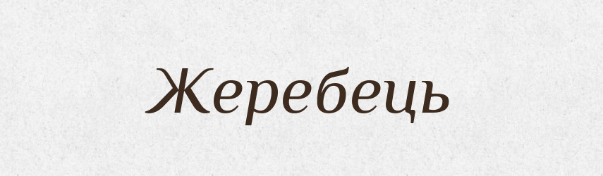 Жеребець — Словник чужомовних слів і термінів