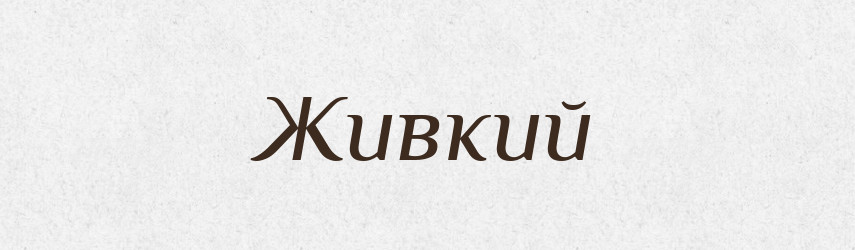 Живкий — Словник чужомовних слів і термінів