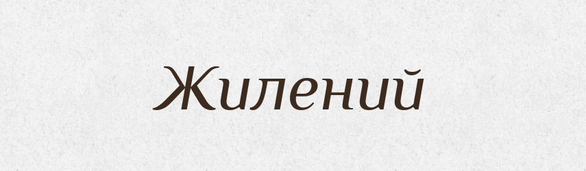 Жилений — Словник чужомовних слів і термінів