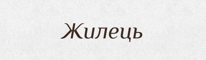 Жилець — Словник чужомовних слів і термінів