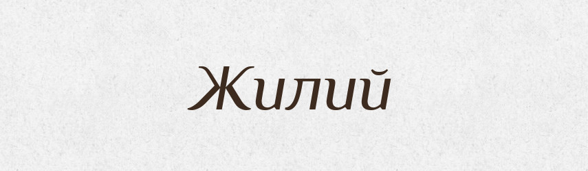 Жилий — Словник чужомовних слів і термінів