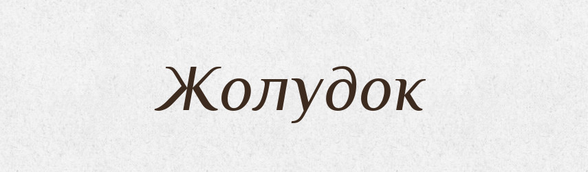 Жолудок — Словник чужомовних слів і термінів
