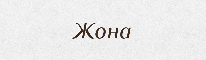 Жона — Словник чужомовних слів і термінів
