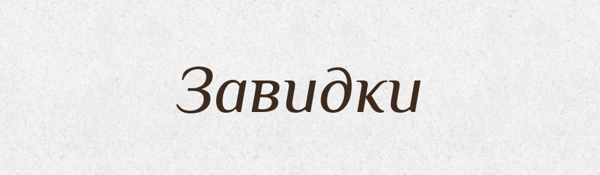 Завидки — Словник чужомовних слів і термінів
