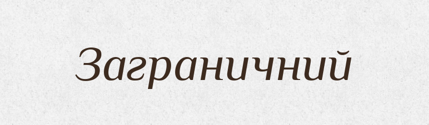 Заграничний — Словник чужомовних слів і термінів