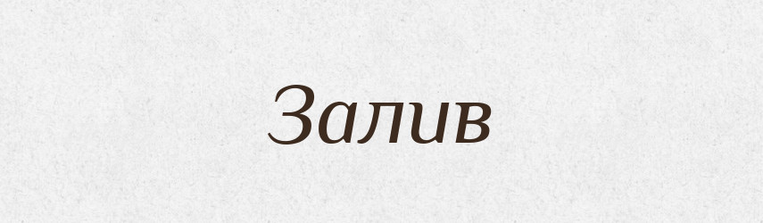 Залив — Словник чужомовних слів і термінів