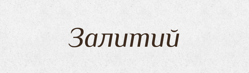 Залитий — Словник чужомовних слів і термінів