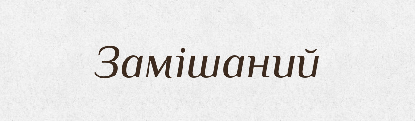 Замішаний — Словник чужомовних слів і термінів