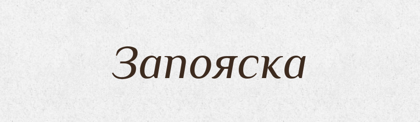 Запояска — Словник чужомовних слів і термінів