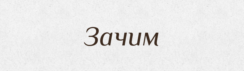 Зачим — Словник чужомовних слів і термінів