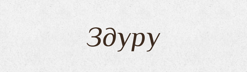 Здуру — Словник чужомовних слів і термінів