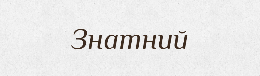 Знатний — Словник чужомовних слів і термінів