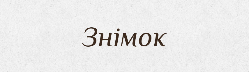 Знімок — Словник чужомовних слів і термінів
