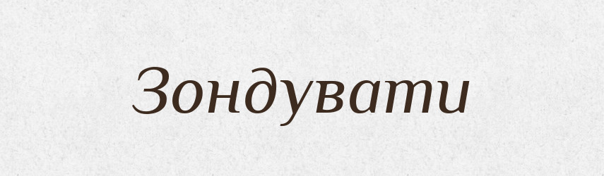 Зондувати — Словник чужомовних слів і термінів