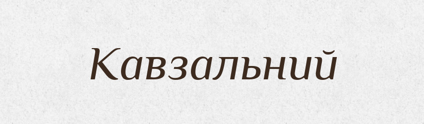 Кавзальний — Словник чужомовних слів і термінів