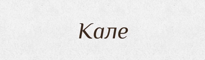 Кале — Словник чужомовних слів і термінів