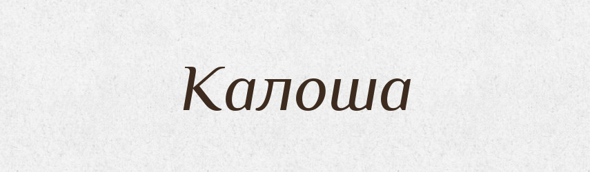 Калоша — Словник чужомовних слів і термінів