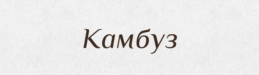 Камбуз — Словник чужомовних слів і термінів