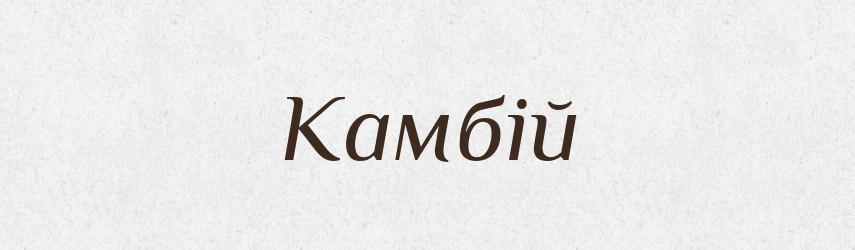 Камбій — Словник чужомовних слів і термінів
