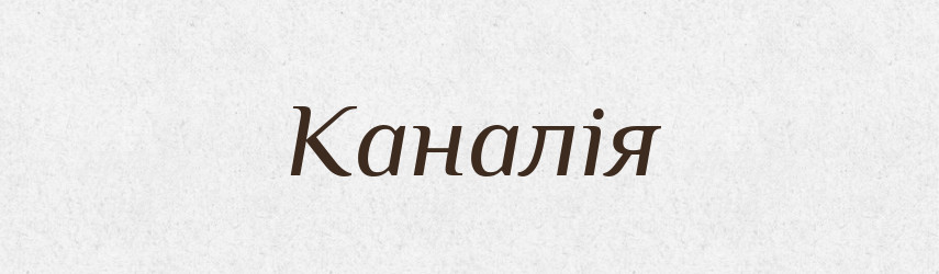 Каналія — Словник чужомовних слів і термінів