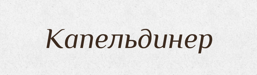 Капельдинер — Словник чужомовних слів і термінів