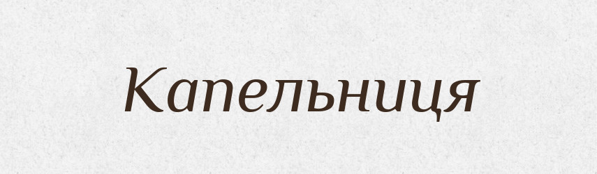 Капельниця — Словник чужомовних слів і термінів