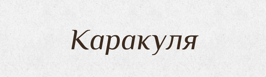 Каракуля — Словник чужомовних слів і термінів