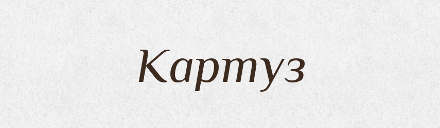 Картуз — Словник чужомовних слів і термінів