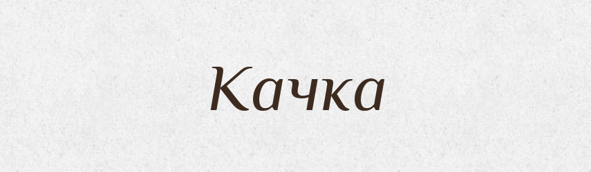 Качка — Словник чужомовних слів і термінів