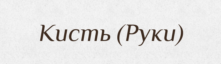 Кисть (Руки) — Словник чужомовних слів і термінів