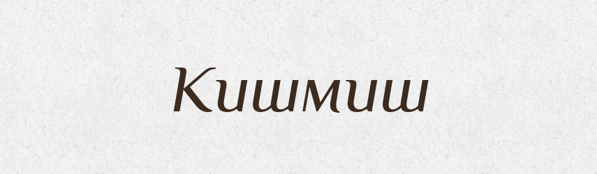 Кишмиш — Словник чужомовних слів і термінів