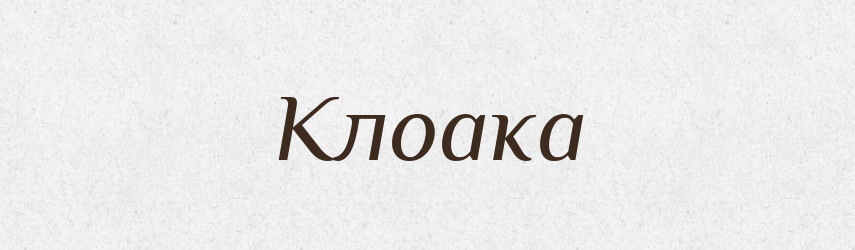 Клоака — Словник чужомовних слів і термінів