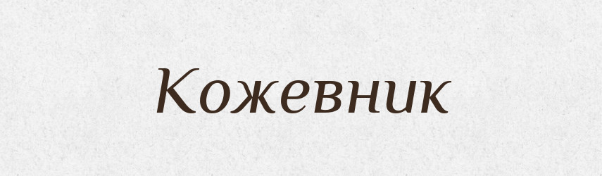 Кожевник — Словник чужомовних слів і термінів