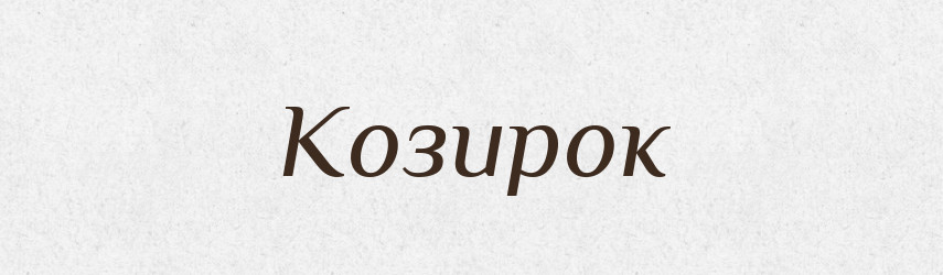 Козирок — Словник чужомовних слів і термінів