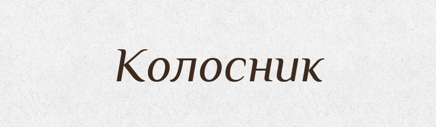 Колосник — Словник чужомовних слів і термінів