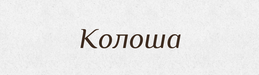 Колоша — Словник чужомовних слів і термінів