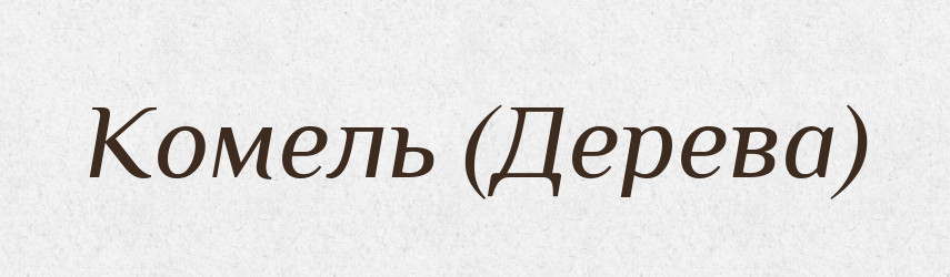 Комель (Дерева) — Словник чужомовних слів і термінів