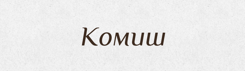 Комиш — Словник чужомовних слів і термінів