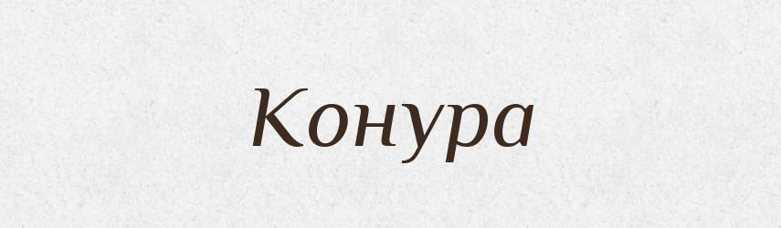 Конура — Словник чужомовних слів і термінів