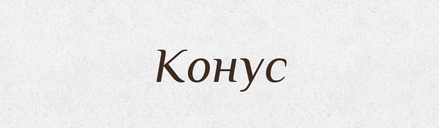 Конус — Словник чужомовних слів і термінів