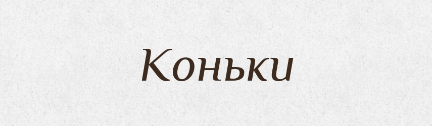 Коньки — Словник чужомовних слів і термінів