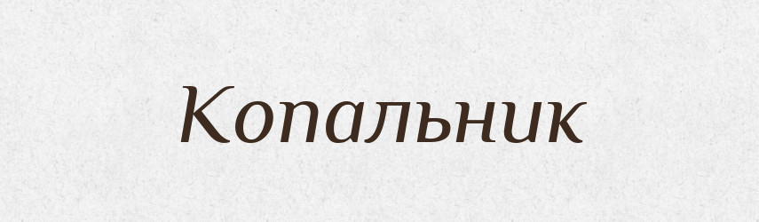 Копальник — Словник чужомовних слів і термінів