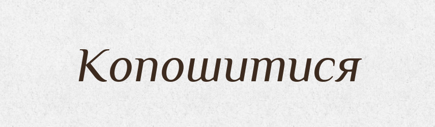 Копошитися — Словник чужомовних слів і термінів