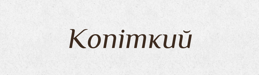 Копіткий — Словник чужомовних слів і термінів